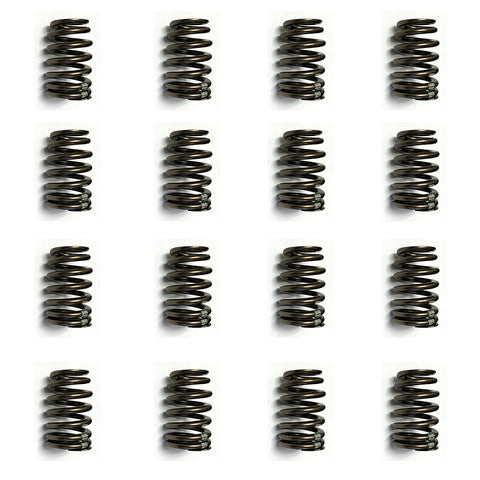 GM 19420455 .570" Beehive Valve Spring Set