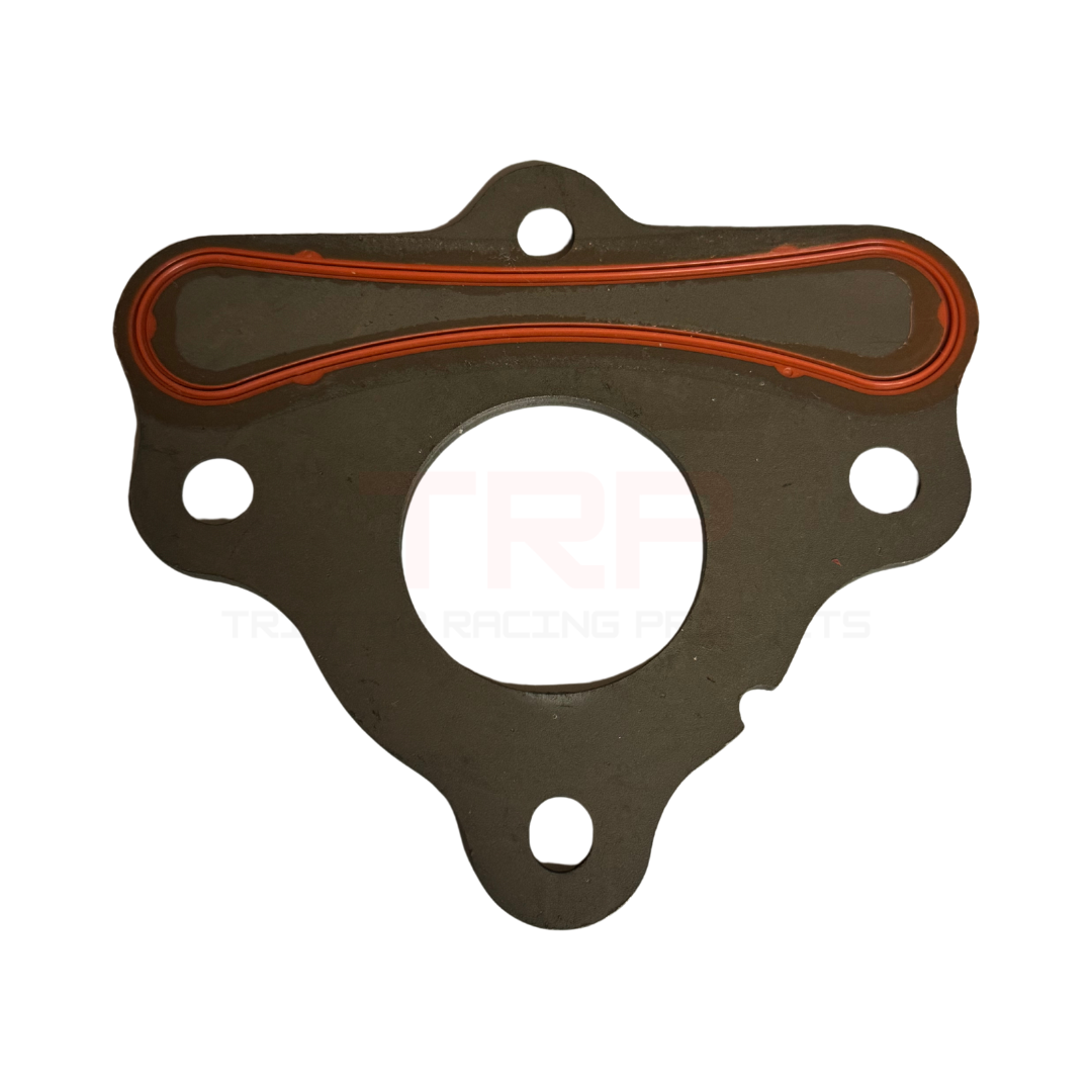 TRP LS LT Cam Retainer Plate