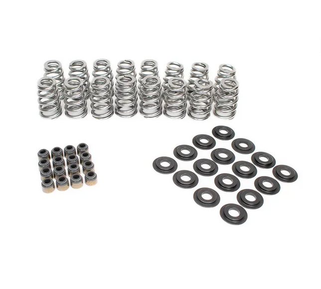 BTR .625" Lift Beehive Valve Spring Kit