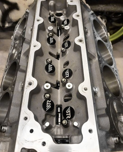 BTR 2019+ DOD Plug Kit L84 L87