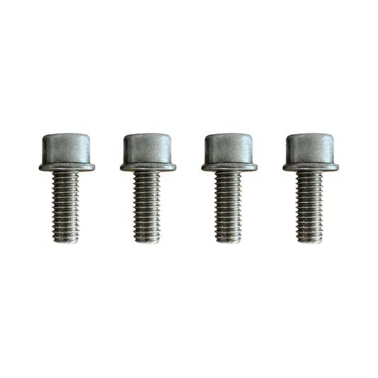 TRP Fuel Rail Bolts for TBSS/NNBS/NBS